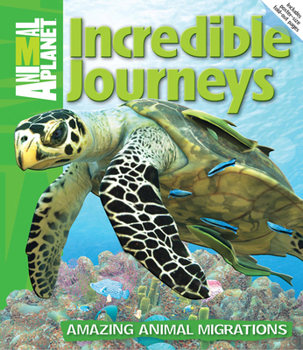 Hardcover Incredible Journeys: Amazing Animal Migrations Book