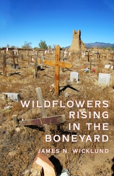 Paperback Wildflowers Rising in the Boneyard Book