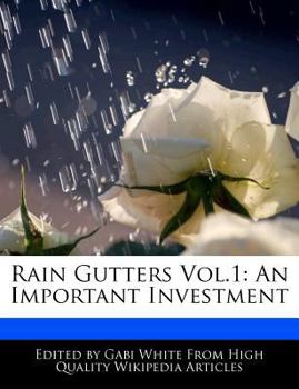 Rain Gutters Vol. 1 : An Important Investment