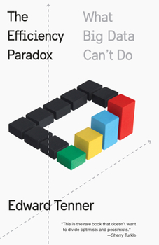 Paperback The Efficiency Paradox: What Big Data Can't Do Book