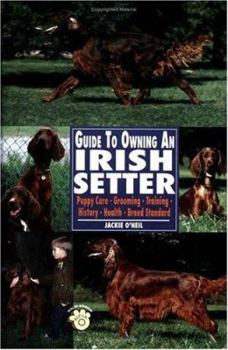 Paperback Guide to Owning an Irish Setter Book