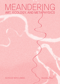 Paperback Meandering: Art, Ecology, and Metaphysics Book