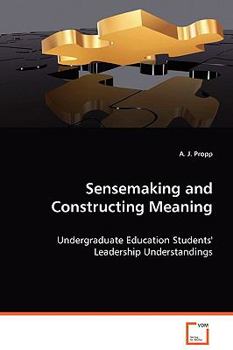 Paperback Sensemaking and Construction Meaning Book