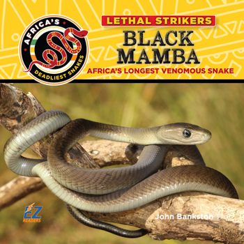 Black Mamba : Africa's Longest Venomous Snake