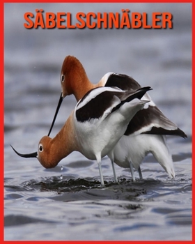 S?belschn?bler: Lustige Fakten & coole Bilder