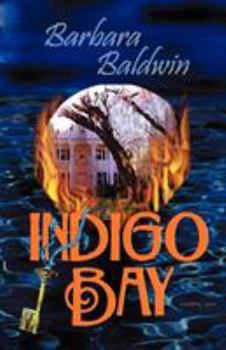 Paperback Indigo Bay Book