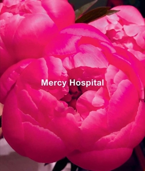 Hardcover Ida Applebroog: Mercy Hospital Book