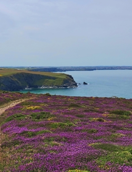 Paperback Notebook: Cornwall England coast Cornish English United Kingdom Book