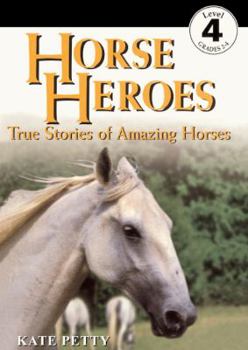 School & Library Binding Horse Heroes: True Stories of Amazing Horses Book