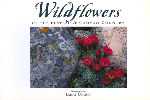 Cards Wildflowers of the Plateau & Canyon Country: Twenty Postcards Book