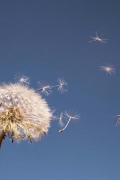 Paperback Dandelion Seeds Journal: 150 page lined notebook/diary Book