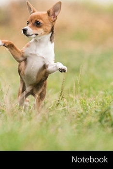 Notebook: Hund, Hybrid, Tier, Wiese Notizbuch / persönliches Tagebuch / Schreibheft / Logbuch / Tages- oder Trainingsplaner / Vokabelheft / Notizen - ... 150 linierte Seiten, glänzende Oberfläche.