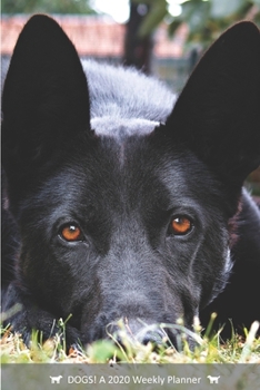 DOGS! A 2020 Weekly Planner: Cover Dog: April (Best Laid Plans)