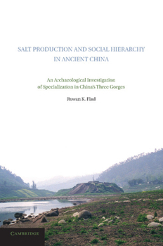 Paperback Salt Production and Social Hierarchy in Ancient China: An Archaeological Investigation of Specialization in China's Three Gorges Book