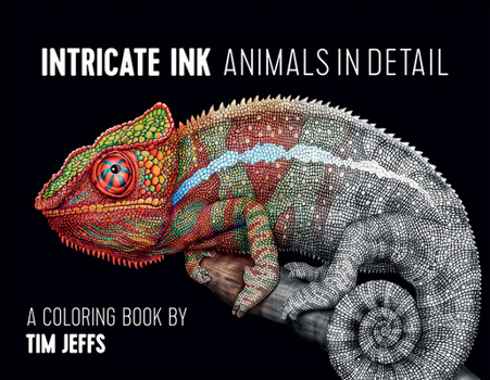 Hardcover CBA Jeffs/Intricate Ink Book