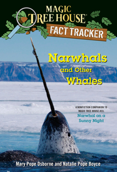 Paperback Narwhals and Other Whales: A Nonfiction Companion to Magic Tree House #33: Narwhal on a Sunny Night Book