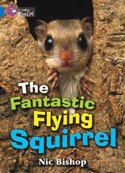 Paperback The Fantastic Flying Squirrel Workbook Book