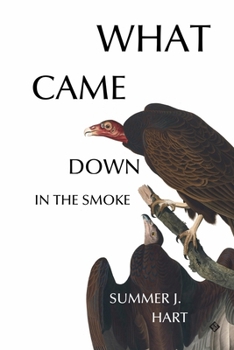 Paperback What Came Down in the Smoke Book