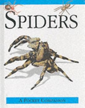Hardcover Spiders ( A Pocket Companion) Book
