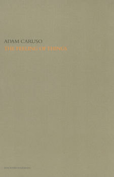 Hardcover The Feeling of Things by Adam Caruso Book