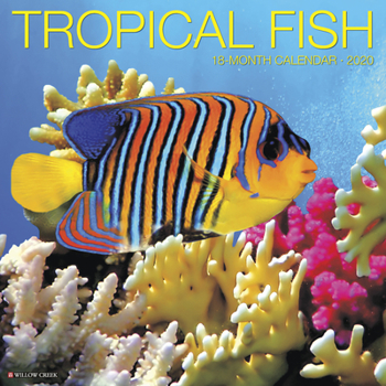 Calendar Tropical Fish 2020 Wall Calendar Book