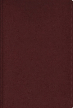 Leather Bound Rvr, Biblia de Estudio Trasfondo Cultural, Leathersoft, Rojo Vino, Interior a Color, Comfort Print: Explora El Mundo Antiguo de la Escritura [Spanish] Book