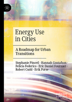 Energy Use in Cities: A Roadmap for Urban Transitions