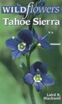 Paperback Wildflowers of the Tahoe Sierra Book