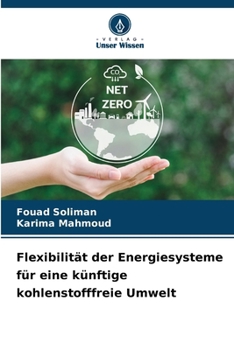 Flexibilität der Energiesysteme für eine künftige kohlenstofffreie Umwelt (German Edition)