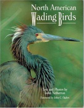 Paperback North American Wading Birds Book