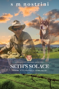 Paperback Seth's Solace Book
