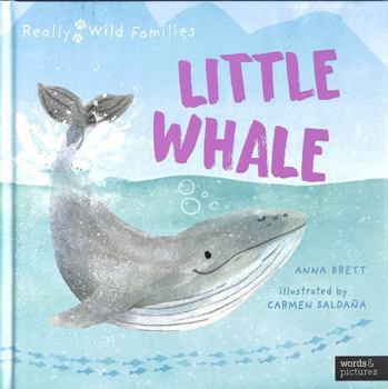 Little Whale: A Day in the Life of a Whale Calf (Really Wild Families)