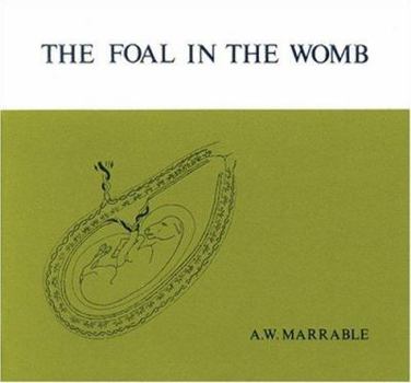 Paperback The Foal in the Womb Book