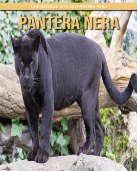 Pantera Nera: l'incredibile vita dei Pantera Nera