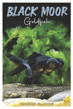 BLACK MOOR GOLDFISH: The enigmatic black moors and mastering the art of care, symbolism and significance