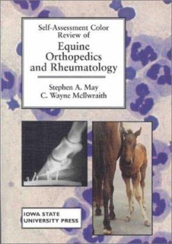 Paperback Self-Assessment Color Review of Equine Orthopedicsand Rheumatology Book
