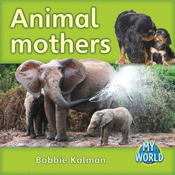 Paperback Animal Mothers Book