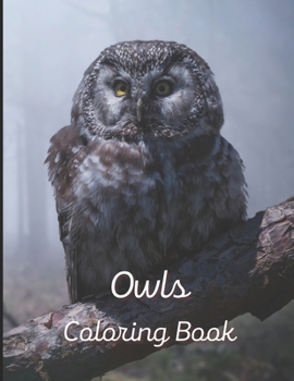 Paperback Owl Coloring Book: A painting fun for children and adults. Book Cover 3 Book