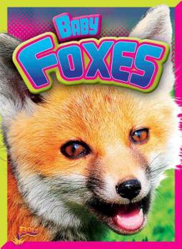 Paperback Baby Foxes Book