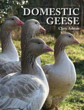 Paperback Domestic Geese Book