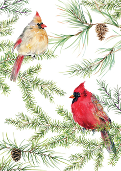 Misc. Cardinals in Evergreen Small Boxed Holiday Cards (20 Cards, 21 Self-Sealing Envelopes) Book