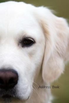 Address Book : Labrador Retriever Dog Address Book for Women, Men and Kids. Featuring Large Print, Perfect for Friends, Family and Work Contacts, Addresses, Emails, Birthdays, Cell, Home, and Work Pho