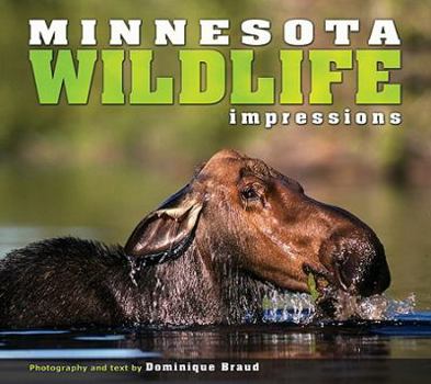 Paperback Minnesota Wildlife Impressions Book