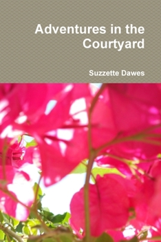 Paperback Adventures in the Courtyard Book