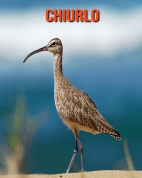 Paperback Chiurlo: Immagini bellissime e fatti interessanti Libro per bambini sui Chiurlo [Italian] Book