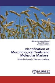Paperback Identification of Morphological Traits and Molecular Markers Book