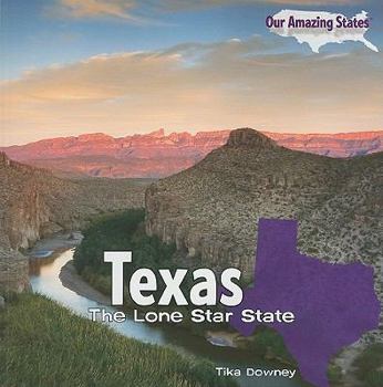Paperback Texas: The Lone Star State Book