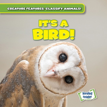 It's a Bird! (Creature Features: Classify Animals!)