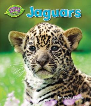 Jaguars - Book  of the Jungle Babies of the Amazon Rain Forest