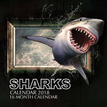 Sharks Calendar 2018: 16 Month Calendar